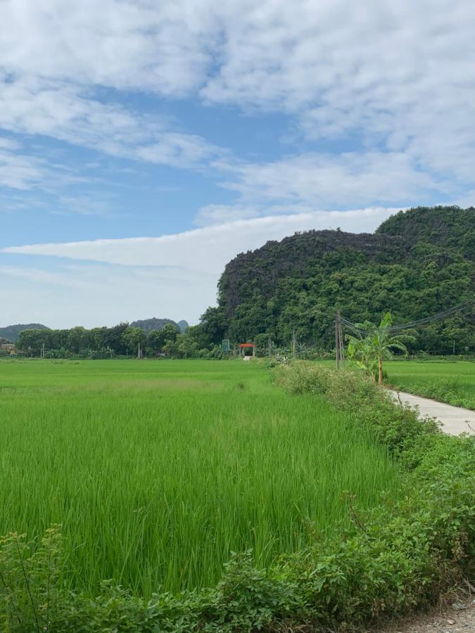 Tam Coc Wonderland Bungalow Ninh Bình Exteriör bild